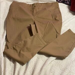 Terra & Sky Women's Tan Leggings 16-18W